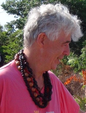 Bresil - Amazon 4 013 v2