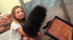 Canada - St Hilarion 2 002