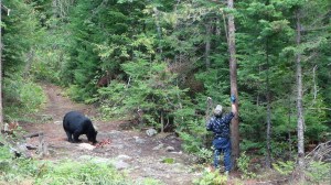 Canada - St Hilarion 2 007