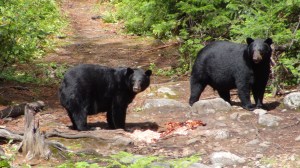 Canada - St Hilarion 2 021