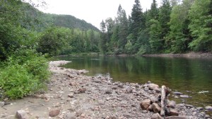 Canada - Tadoussac 3 012