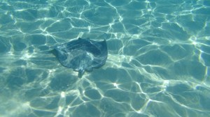 Golf du Mexique 2 089