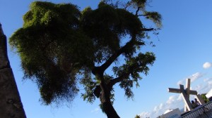 Bresil - Salvador 1 075