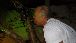 Bresil - Salvador 3 203