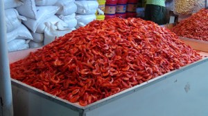 Bresil - Salvador 5 097