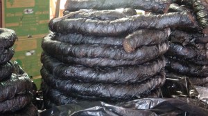 Bresil - Salvador 5 101