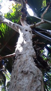 ???????????????????????????????