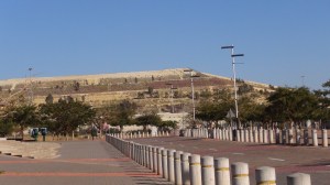 Afrique du Sud 1 004