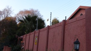 Afrique du Sud 1 114