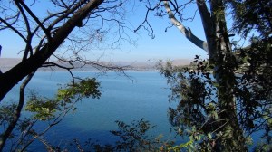 Afrique du Sud 2 009