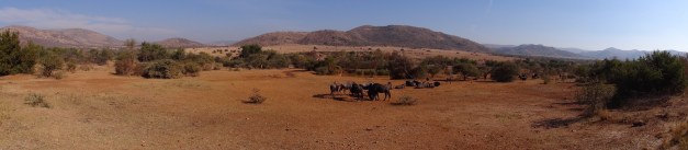 Afrique du Sud 3 095