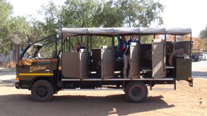 Afrique du Sud 3 100