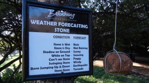 Afrique du Sud 3 150