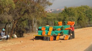 Afrique du Sud 3 159