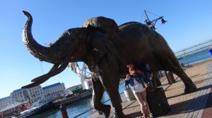 Afrique du Sud 3 206