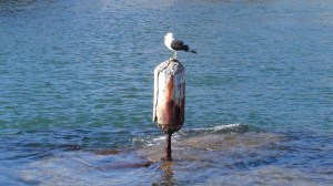 Afrique du Sud 4 028