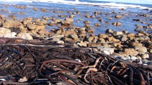 Afrique du Sud 4 134