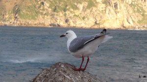 Afrique du Sud 4 191