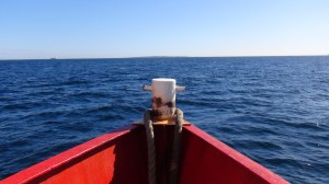 Afrique du Sud 4 222