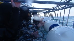 Afrique du Sud 5 070