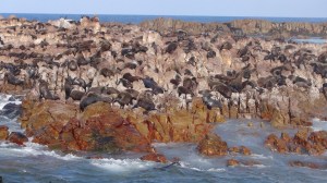 Afrique du Sud 5 115