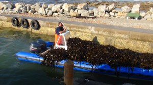 Afrique du Sud 6 109