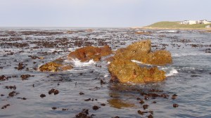 Afrique du Sud 6 112