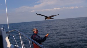 Afrique du Sud 6 120