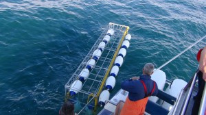 Afrique du Sud 6 127