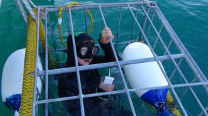 Afrique du Sud 6 157