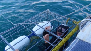 Afrique du Sud 6 186